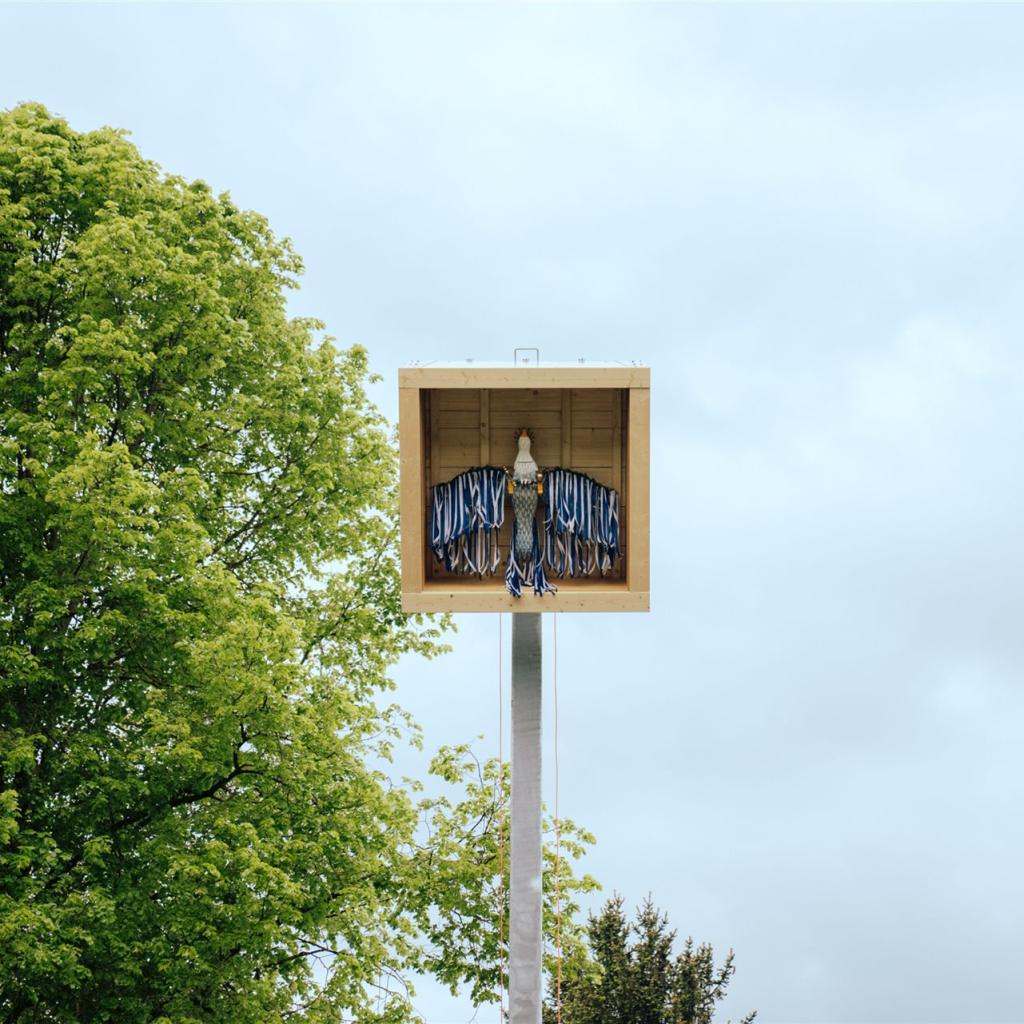 Kopie von 1705172832_DSC4352